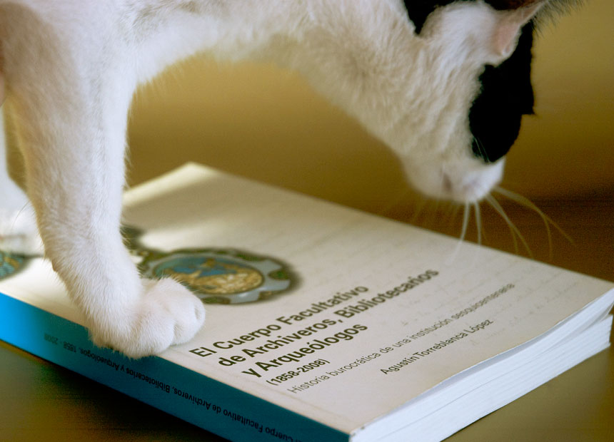 maquetación-cfaba-kokö