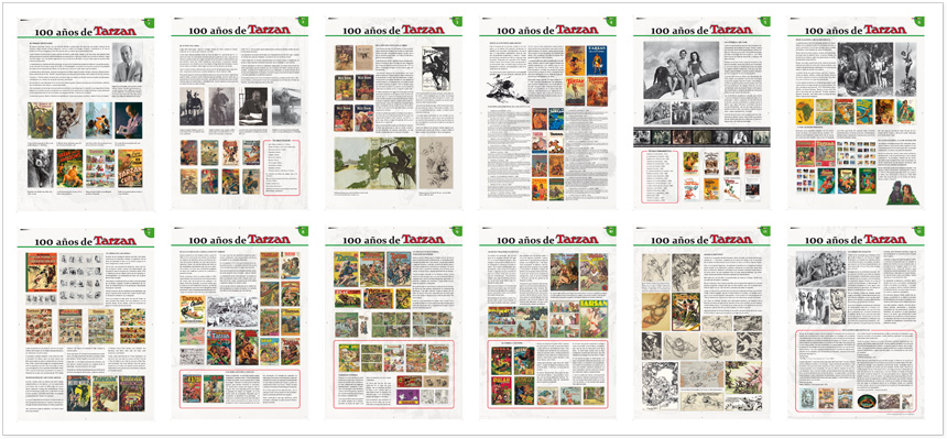 maquetación-paneles-tarzan